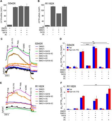 Readthrough-induced misincorporated amino acid ratios guide mutant-specific therapeutic approaches for two CFTR nonsense mutations